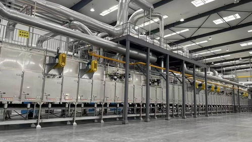 軟件開發驅動智能化轉型，安徽食品行業迎來首個國家級卓越智能工廠